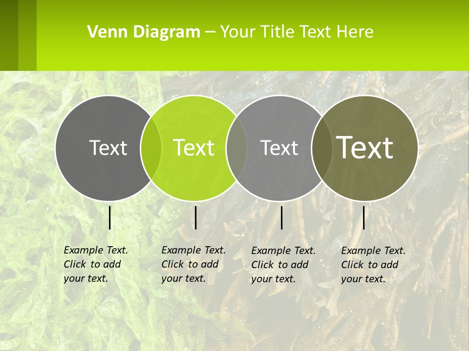Seaweed PowerPoint Template