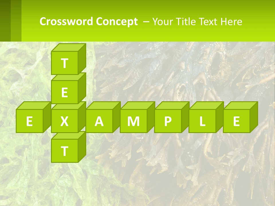Seaweed PowerPoint Template