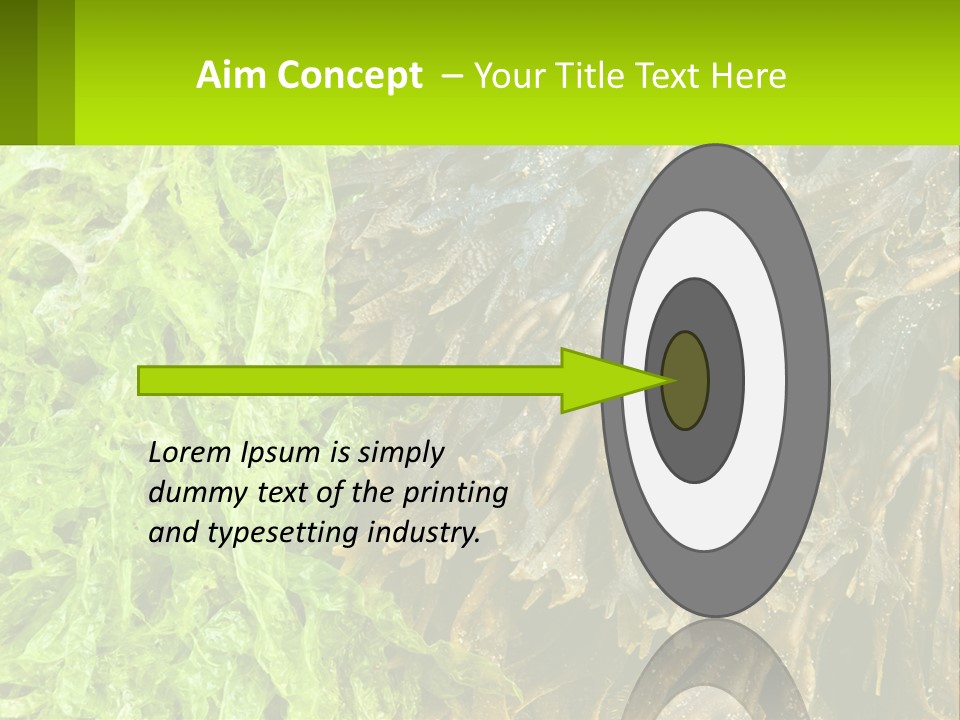 Seaweed PowerPoint Template