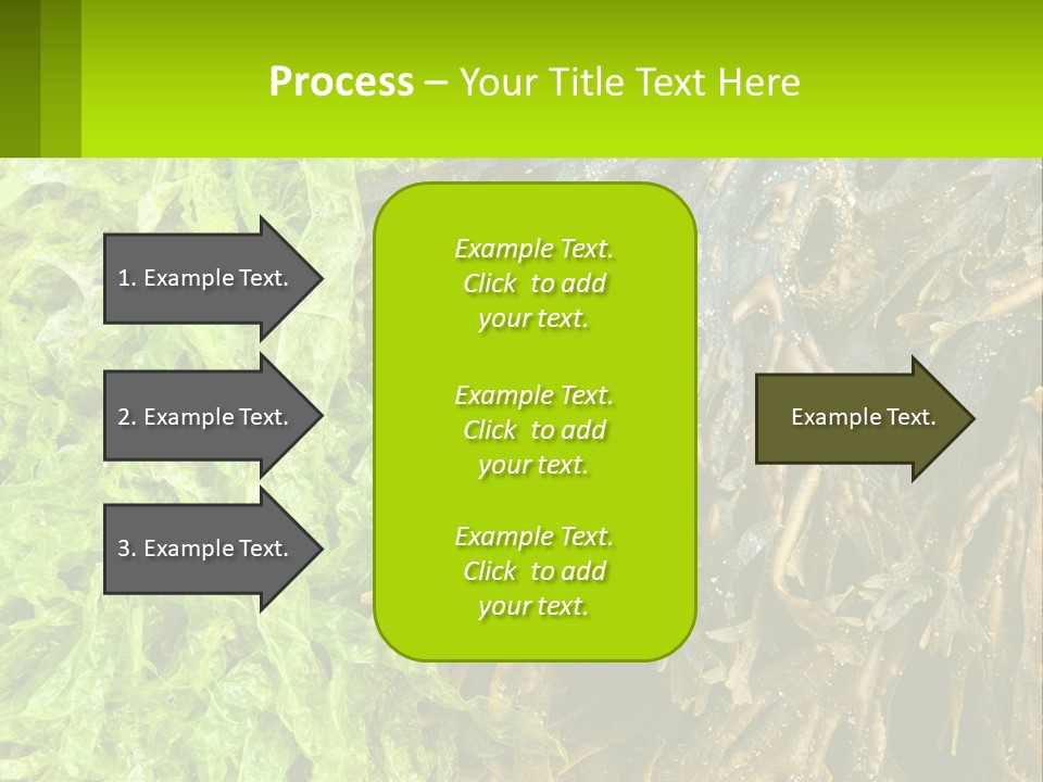 Seaweed PowerPoint Template