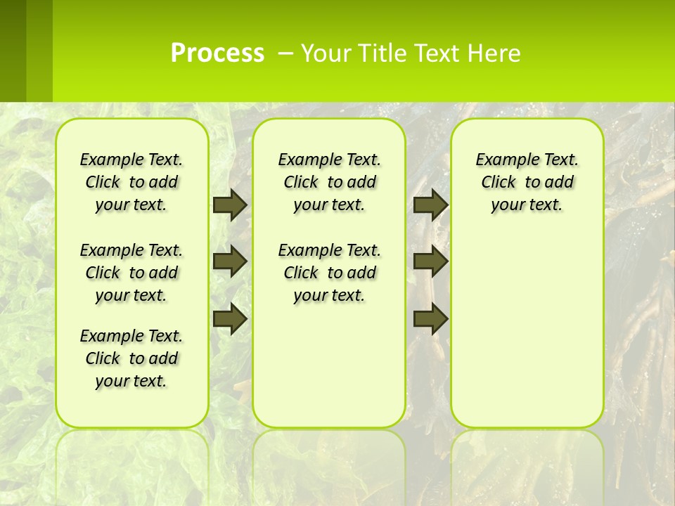 Seaweed PowerPoint Template