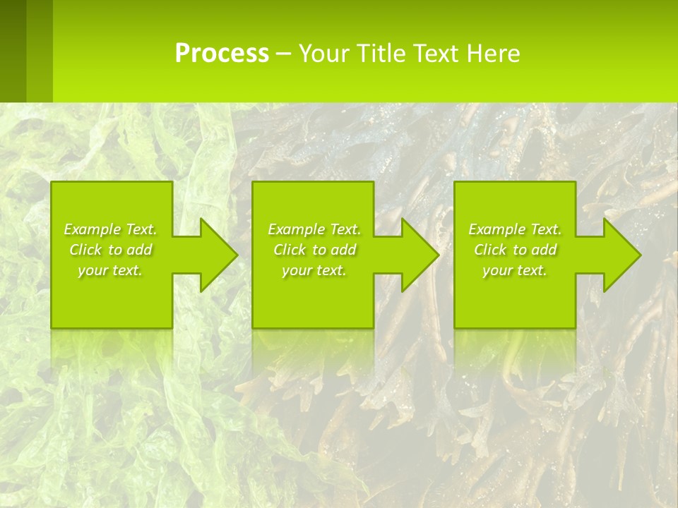 Seaweed PowerPoint Template