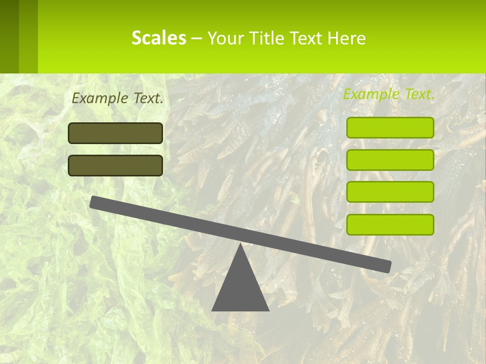Seaweed PowerPoint Template