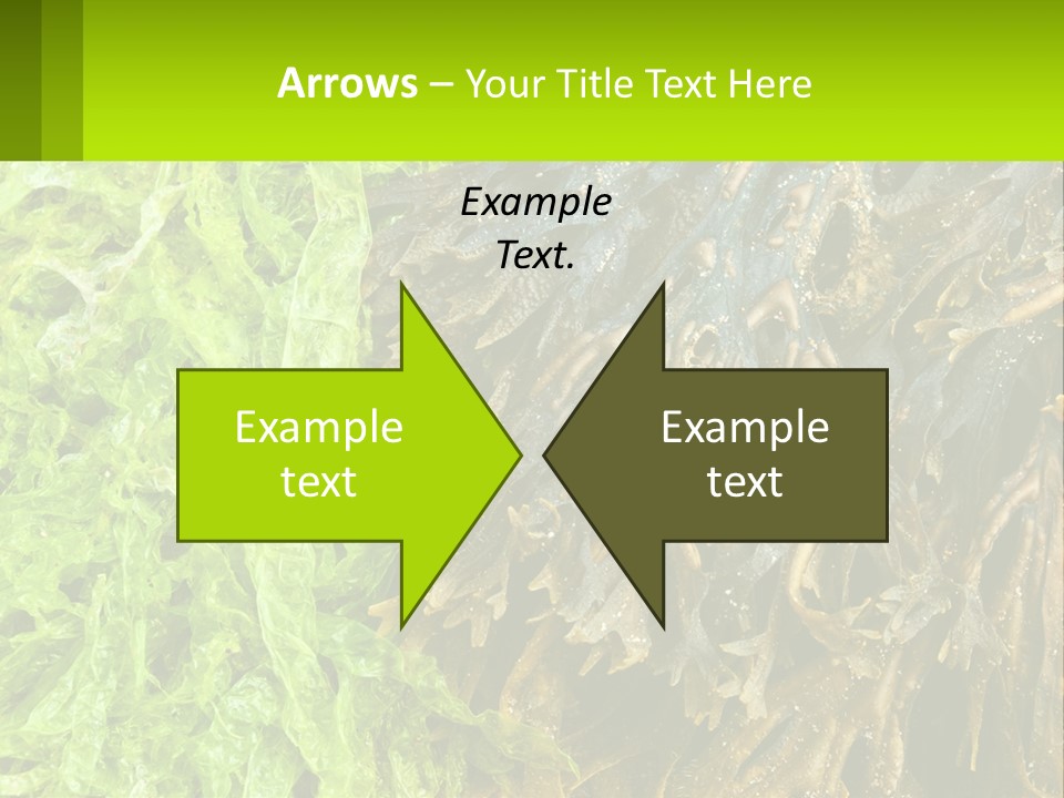 Seaweed PowerPoint Template