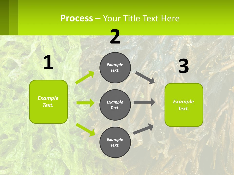 Seaweed PowerPoint Template
