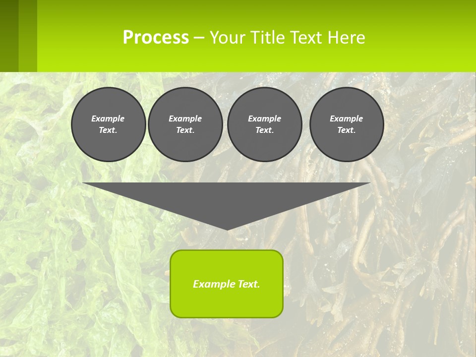 Seaweed PowerPoint Template