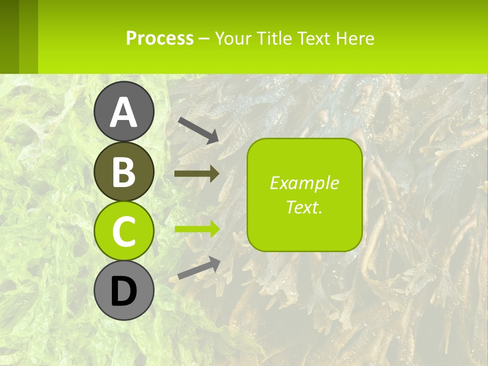 Seaweed PowerPoint Template