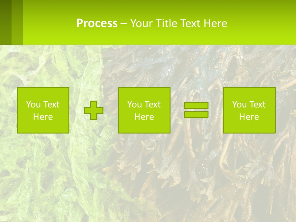 Seaweed PowerPoint Template