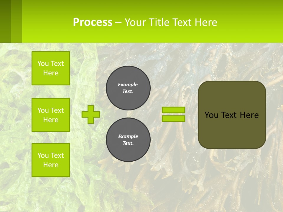 Seaweed PowerPoint Template