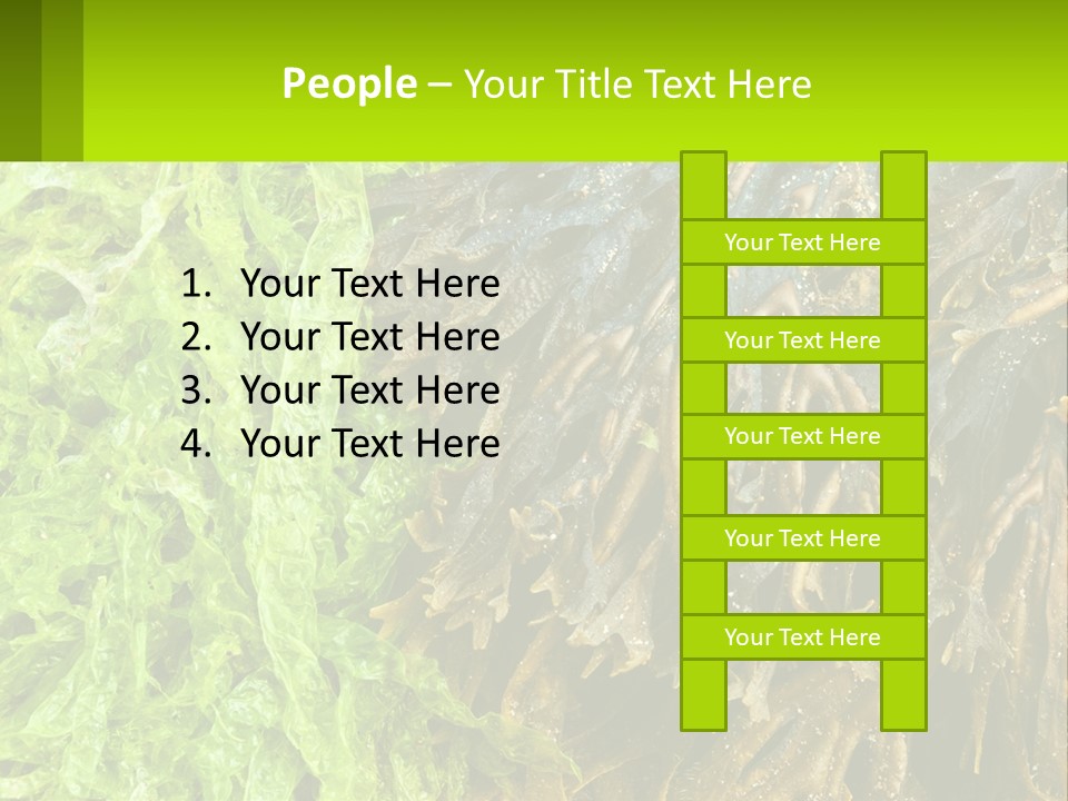 Seaweed PowerPoint Template