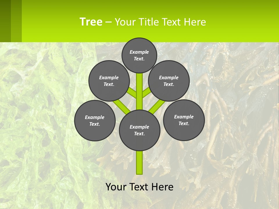 Seaweed PowerPoint Template