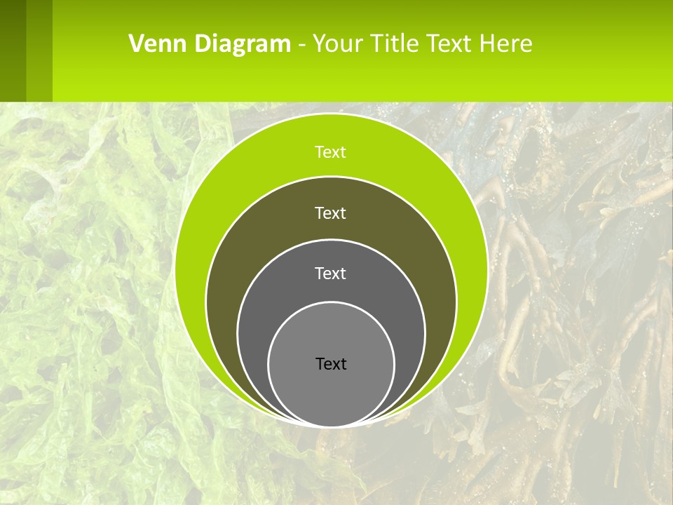 Seaweed PowerPoint Template