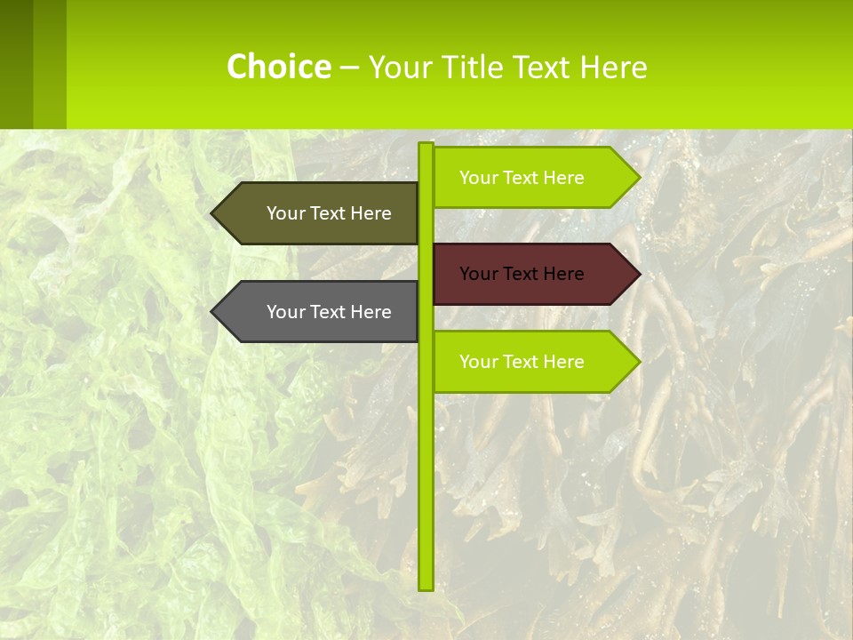 Seaweed PowerPoint Template