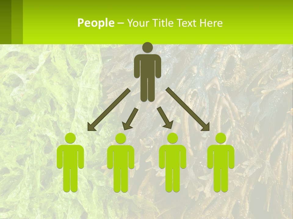 Seaweed PowerPoint Template