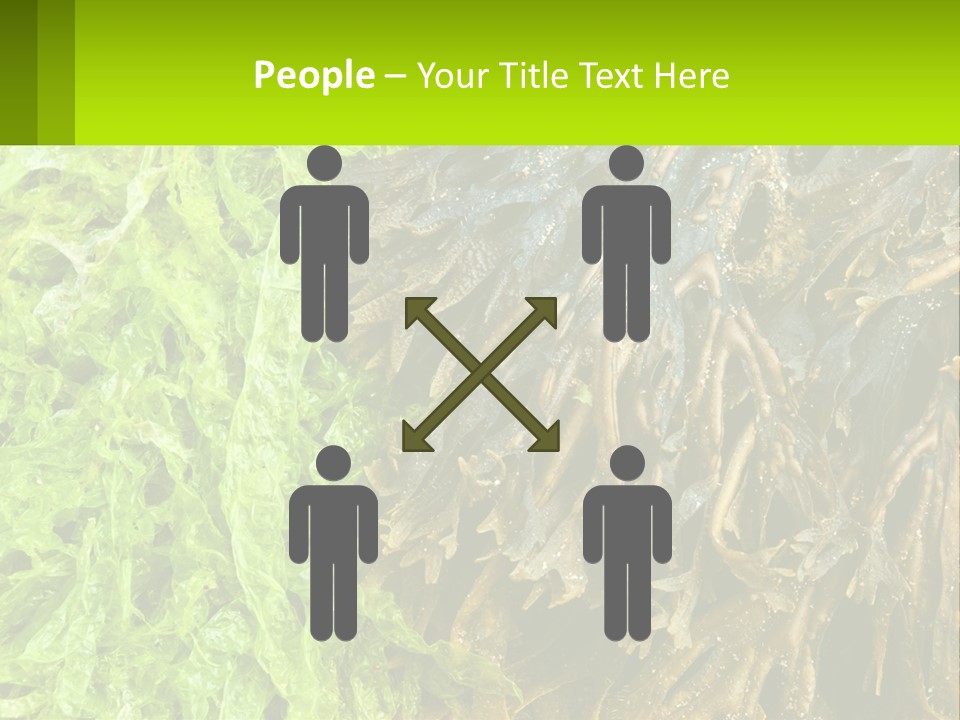 Seaweed PowerPoint Template