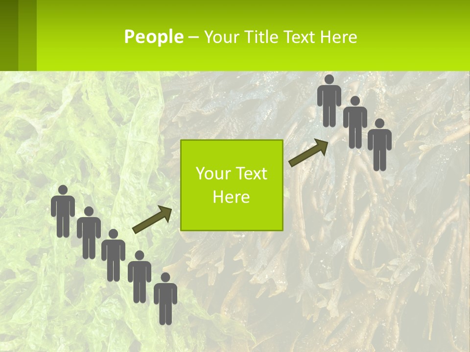 Seaweed PowerPoint Template