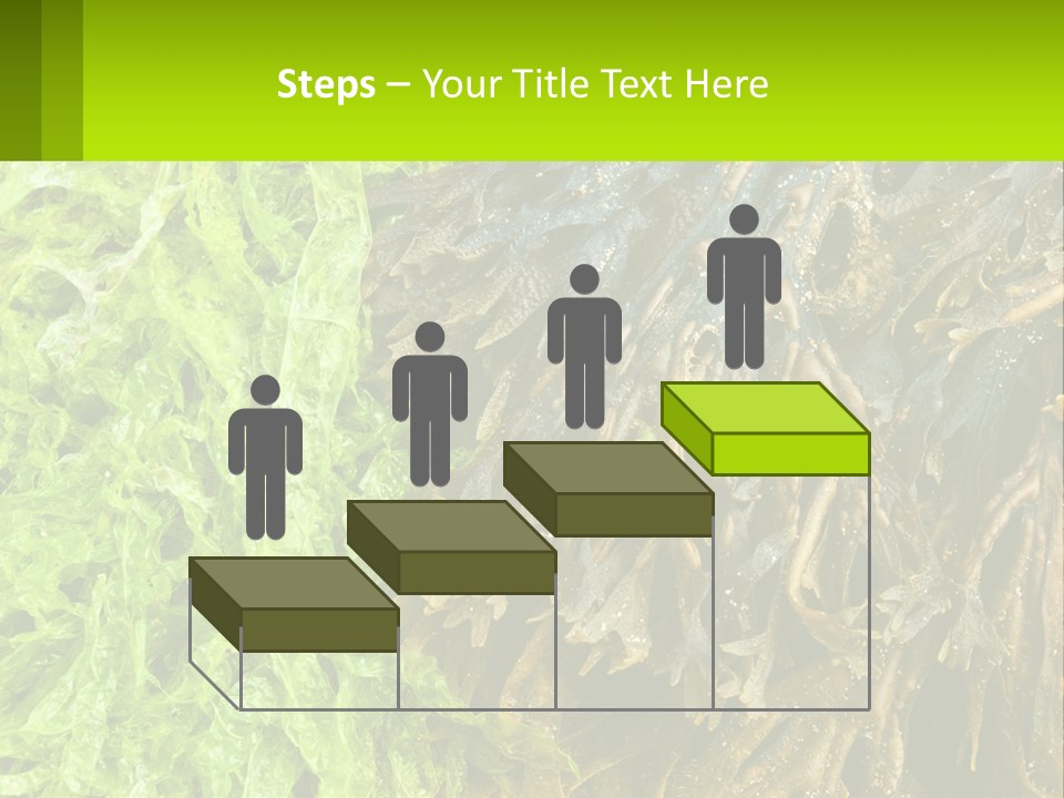 Seaweed PowerPoint Template