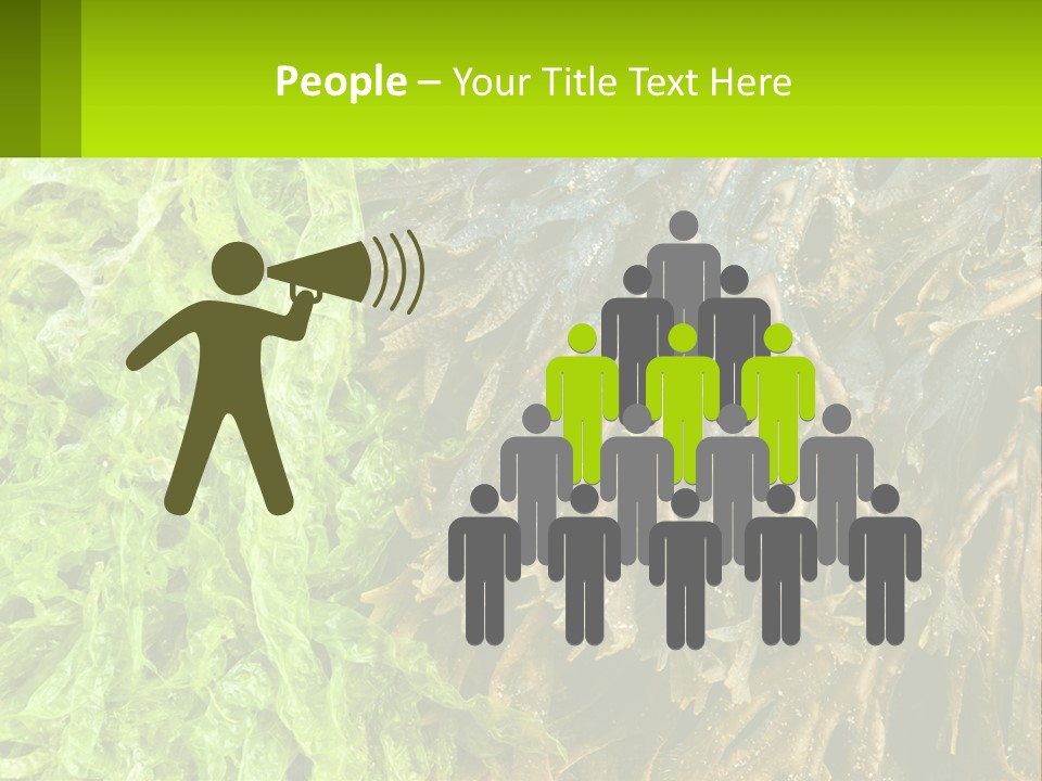 Seaweed PowerPoint Template