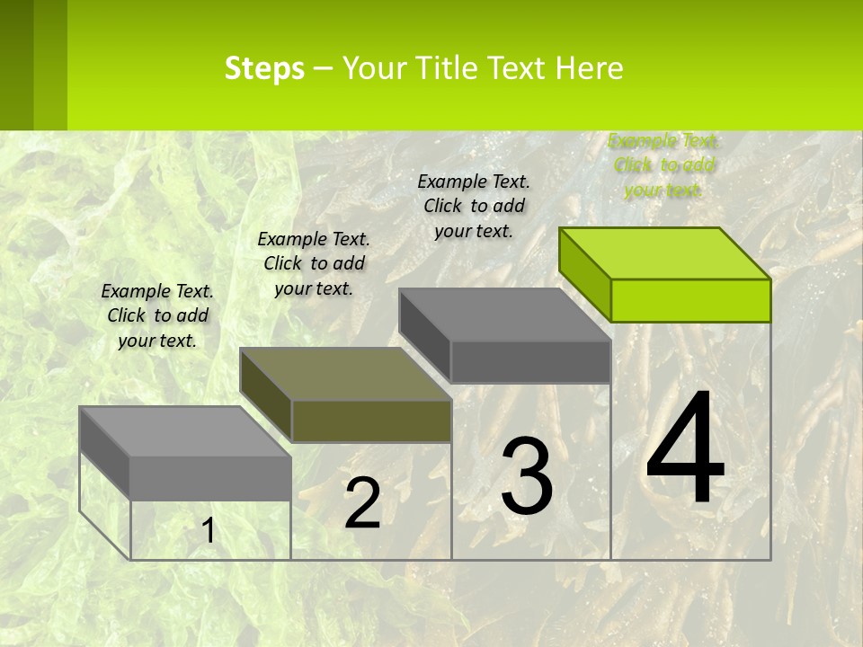 Seaweed PowerPoint Template