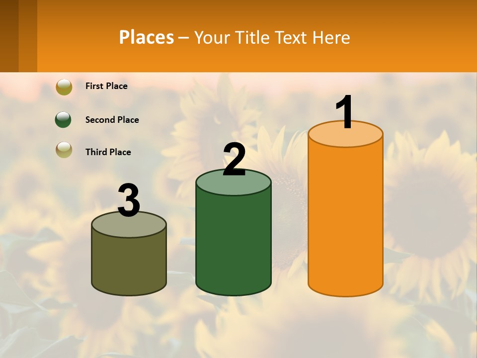 Field Of Sunflowers PowerPoint Template