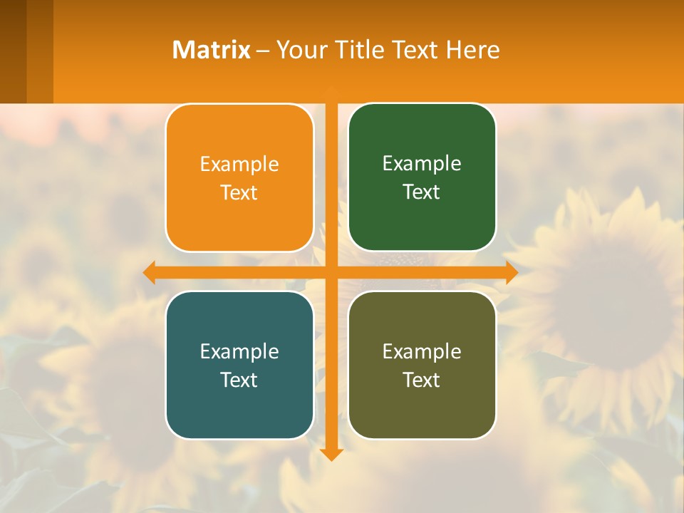 Field Of Sunflowers PowerPoint Template