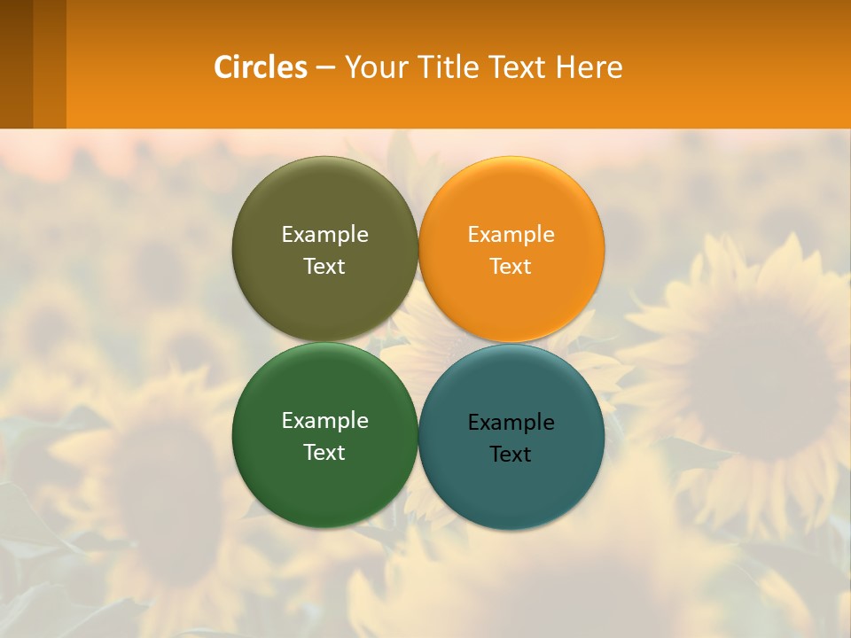 Field Of Sunflowers PowerPoint Template