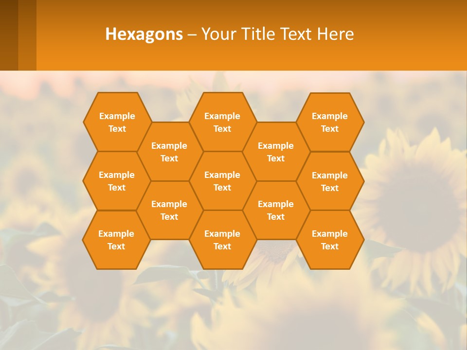 Field Of Sunflowers PowerPoint Template