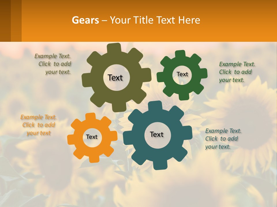 Field Of Sunflowers PowerPoint Template
