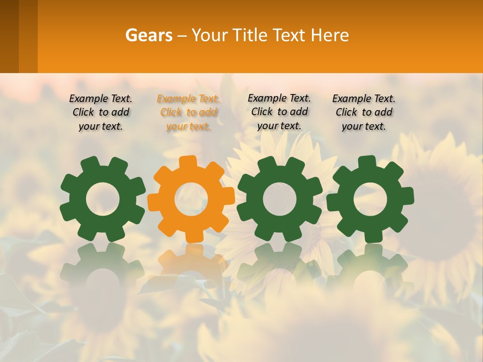 Field Of Sunflowers PowerPoint Template
