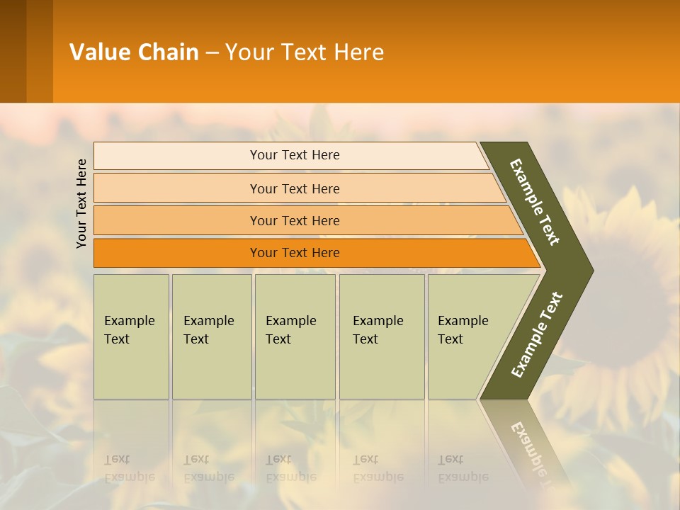 Field Of Sunflowers PowerPoint Template