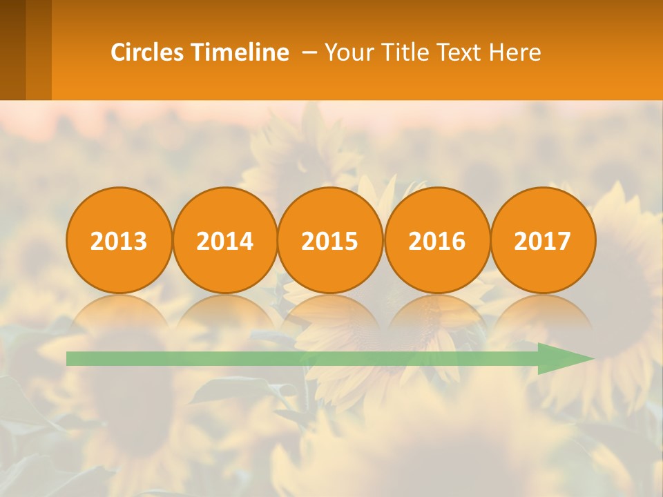 Field Of Sunflowers PowerPoint Template