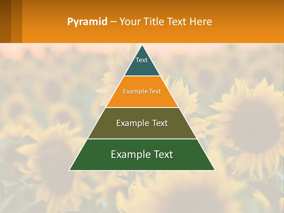 Field Of Sunflowers PowerPoint Template