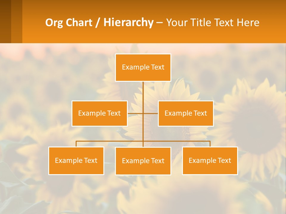 Field Of Sunflowers PowerPoint Template