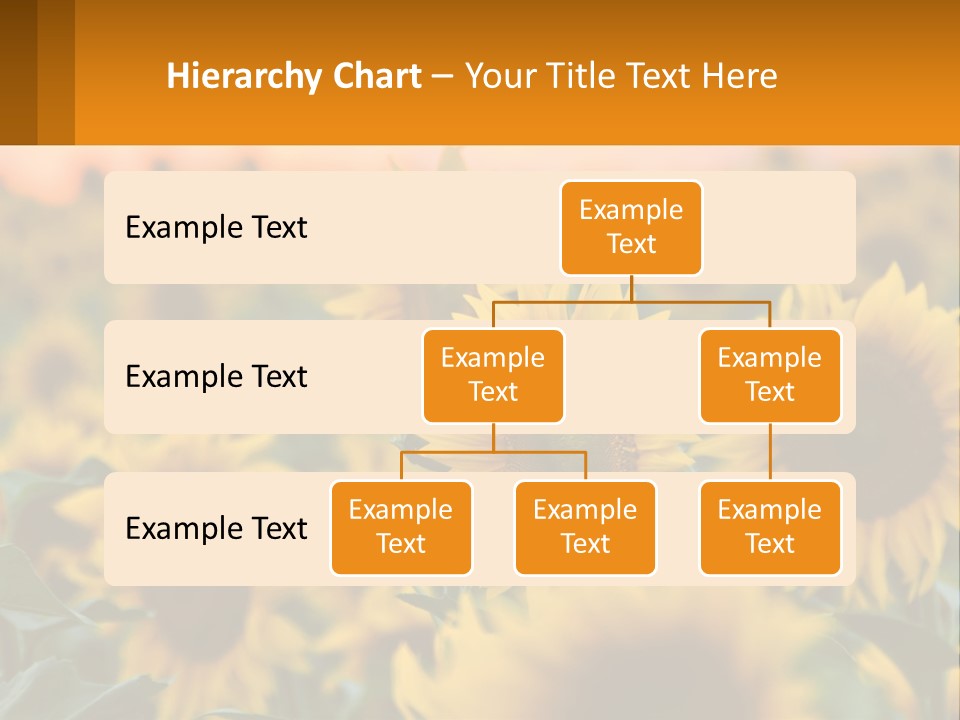 Field Of Sunflowers PowerPoint Template