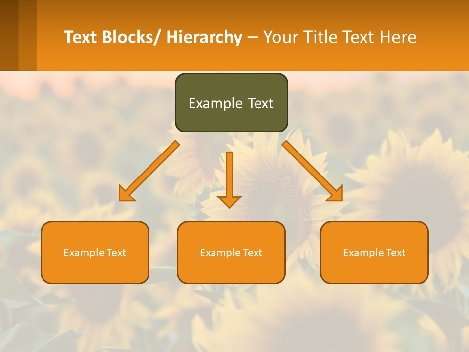 Field Of Sunflowers PowerPoint Template