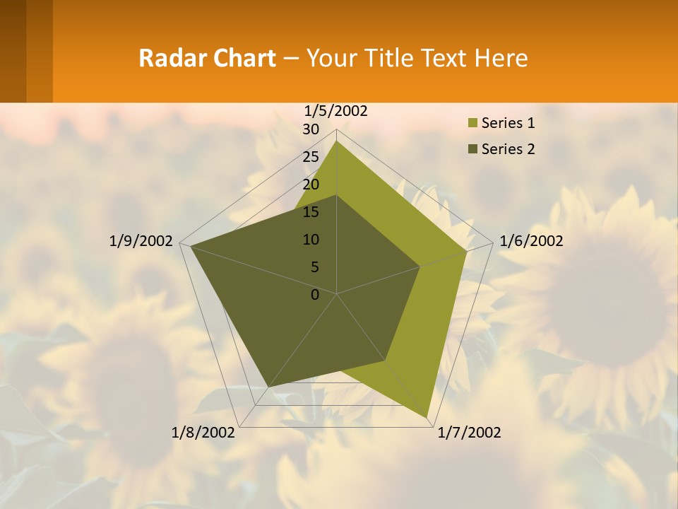 Field Of Sunflowers PowerPoint Template