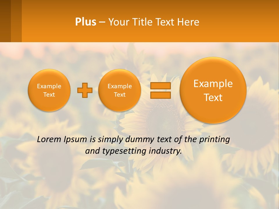 Field Of Sunflowers PowerPoint Template