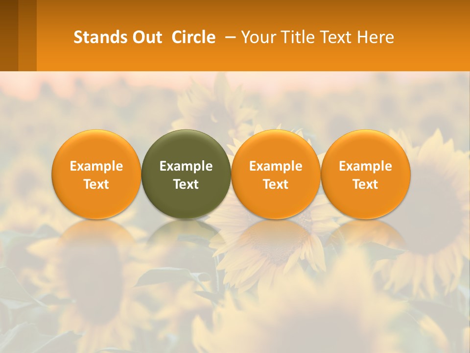 Field Of Sunflowers PowerPoint Template