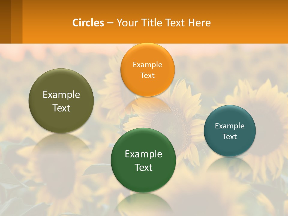 Field Of Sunflowers PowerPoint Template