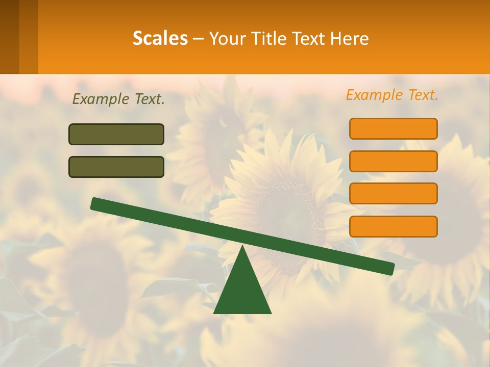 Field Of Sunflowers PowerPoint Template