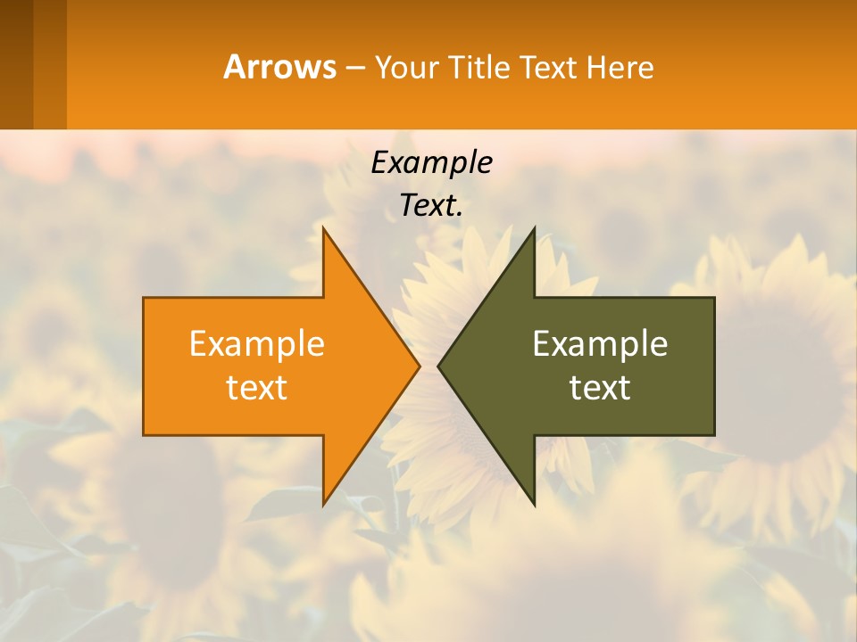 Field Of Sunflowers PowerPoint Template