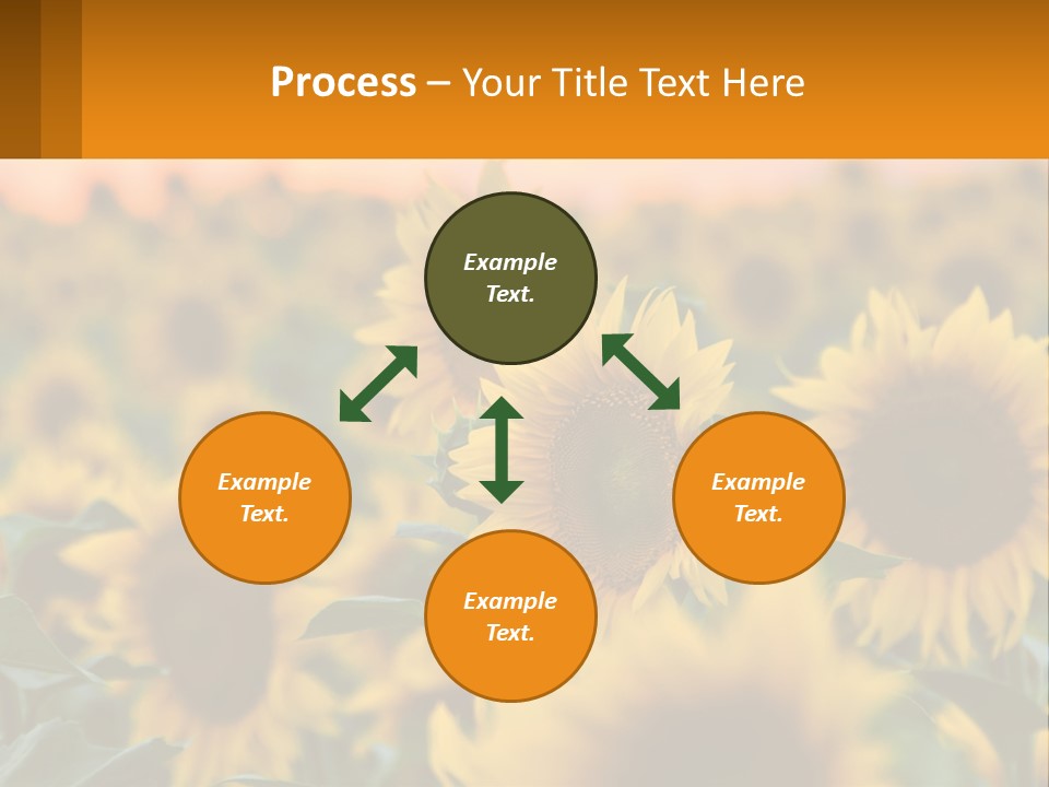 Field Of Sunflowers PowerPoint Template