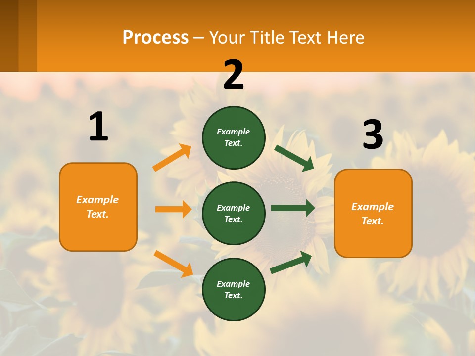Field Of Sunflowers PowerPoint Template