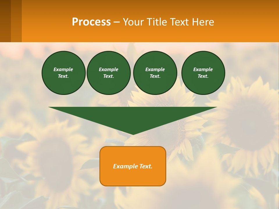 Field Of Sunflowers PowerPoint Template