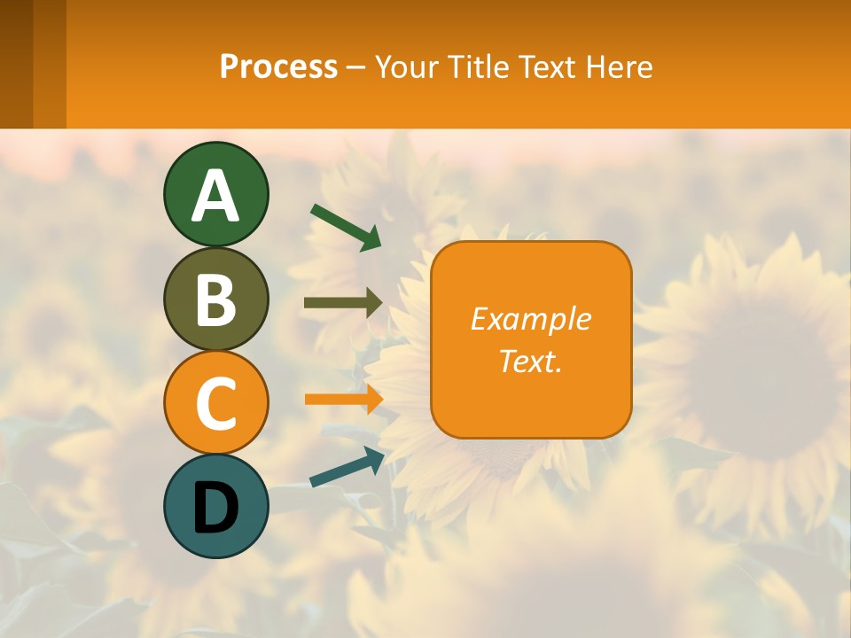 Field Of Sunflowers PowerPoint Template