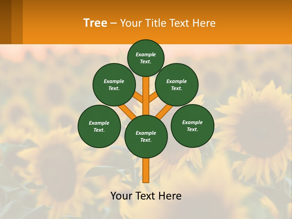 Field Of Sunflowers PowerPoint Template