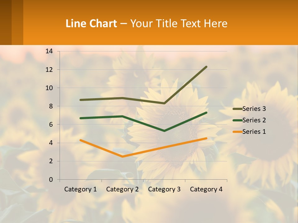 Field Of Sunflowers PowerPoint Template