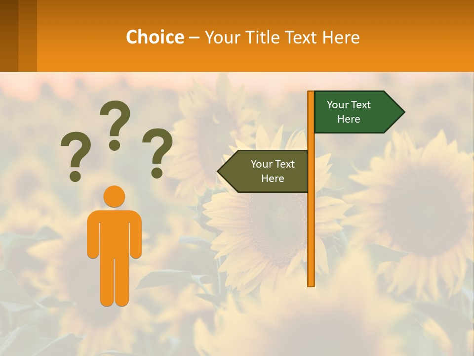 Field Of Sunflowers PowerPoint Template