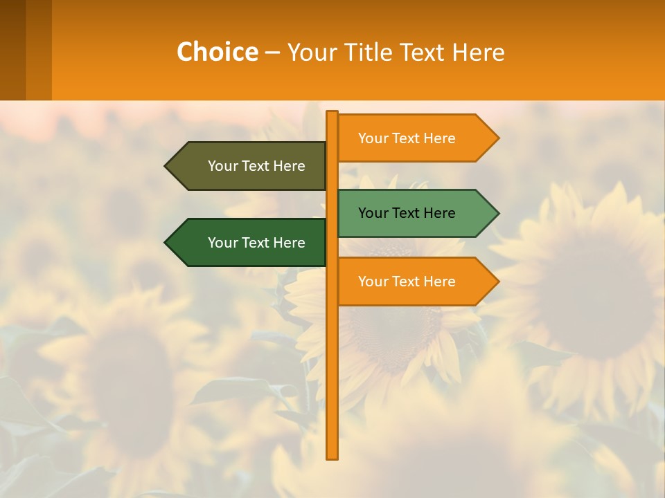 Field Of Sunflowers PowerPoint Template