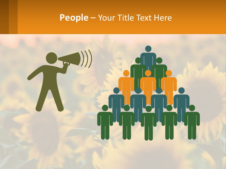 Field Of Sunflowers PowerPoint Template